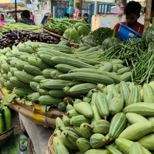 ‘বুকে পাথর বেঁধে সবকিছু সহ্য করে যাই’