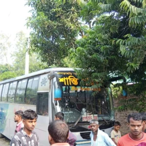 সড়কের পাশে দাঁড়িয়ে ছিলেন বউ-শাশুড়ি, প্রাণ গেলো বাসচাপায়