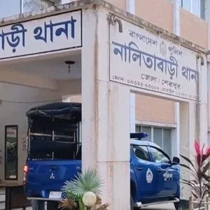 বিয়ের উপহার পছন্দ না হওয়ায় নববধূকে নির্যাতন-হত্যা, আটক স্বামী